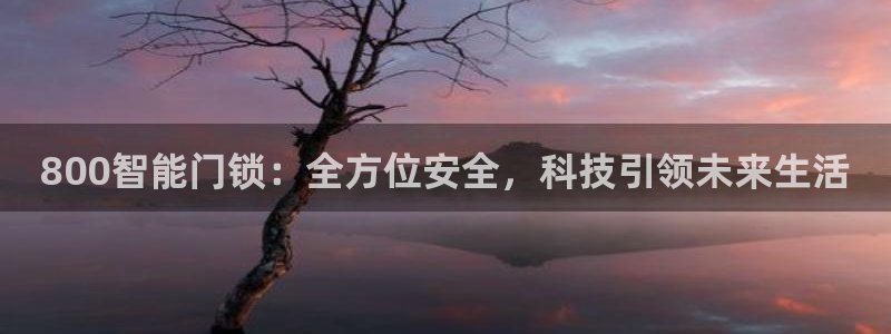 开丰娱乐登录官方网站：800智能门锁：全方位安全，科技引领未