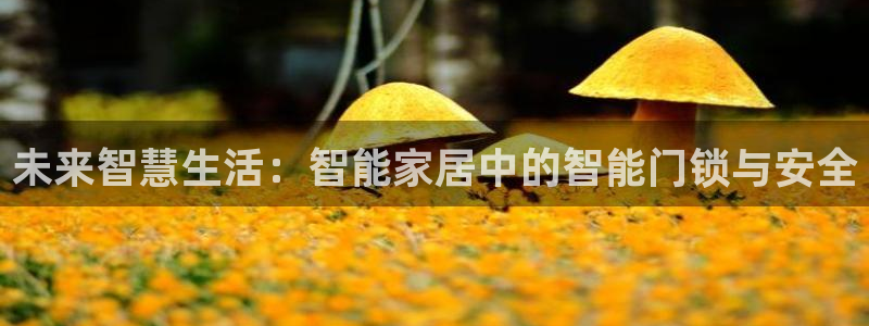 开丰娱乐开户：未来智慧生活：智能家居中的智能门锁与安全