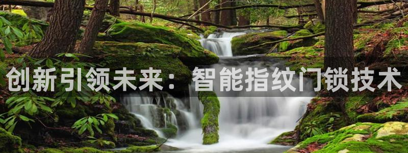 开丰娱乐左7O667：创新引领未来：智能指纹门锁技术