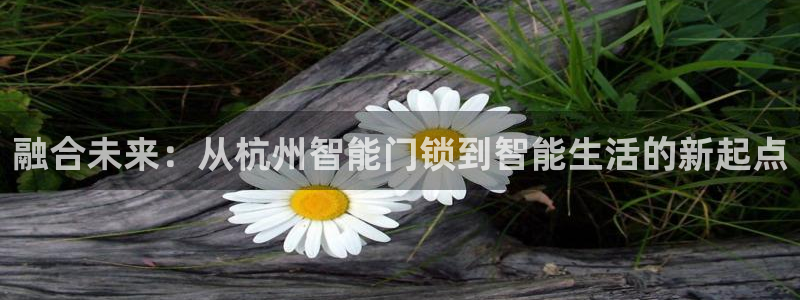 开丰娱乐科技：融合未来：从杭州智能门锁到智能生活的新起点