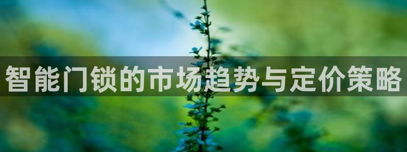 开丰娱乐注册登录不了：智能门锁的市场趋势与定价策略