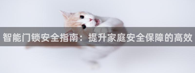 开丰娱乐平台登录：智能门锁安全指南：提升家庭安全保障的高效