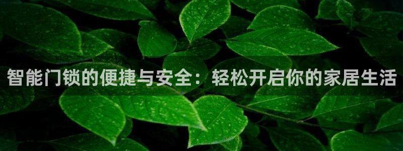 开丰娱乐下载安装：智能门锁的便捷与安全：轻松开启你的家居生活