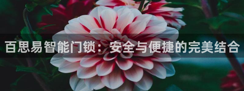 开丰娱乐巾67五壹叁八：百思易智能门锁：安全与便捷的完美结合