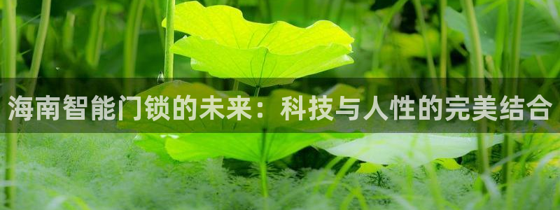 开丰娱乐地址：海南智能门锁的未来：科技与人性的完美结合