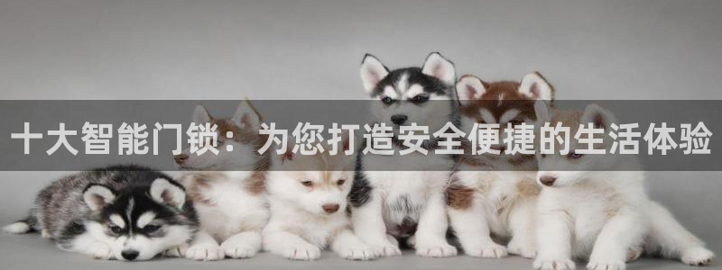 开丰娱乐网址：十大智能门锁：为您打造安全便捷的生活体验