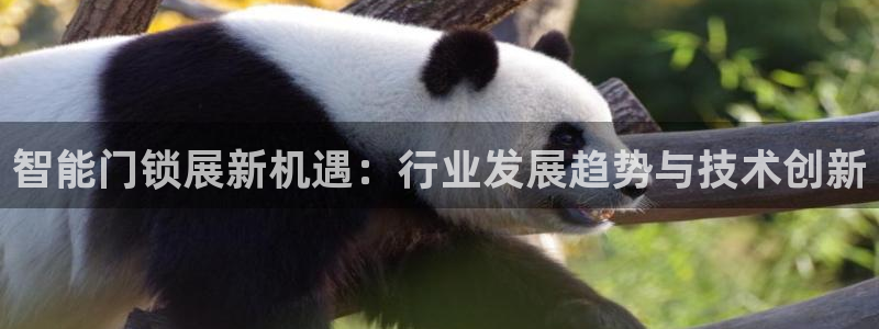 开丰娱乐咋7O777：智能门锁展新机遇：行业发展趋势与技术创
