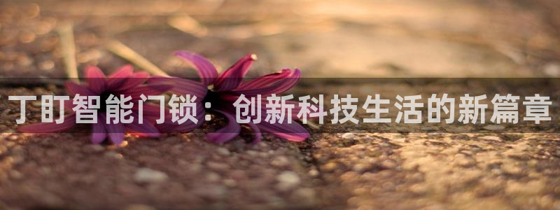 开丰娱乐科技：丁盯智能门锁：创新科技生活的新篇章