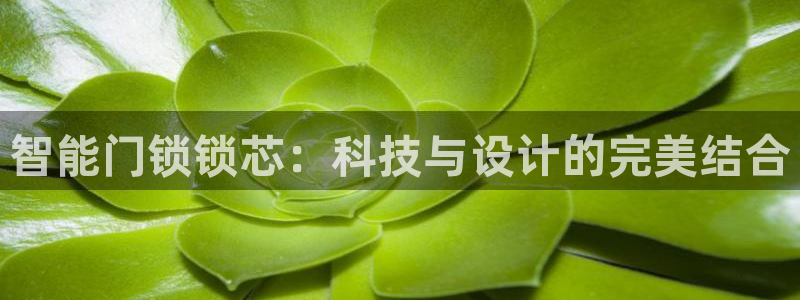开丰娱乐登入地址查询：智能门锁锁芯：科技与设计的完美结合
