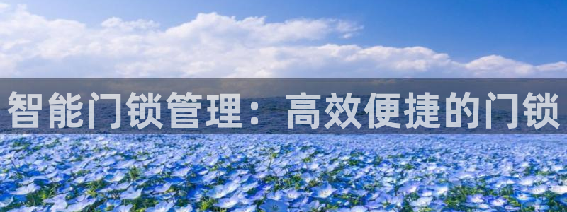 开丰娱乐更多平台：智能门锁管理：高效便捷的门锁