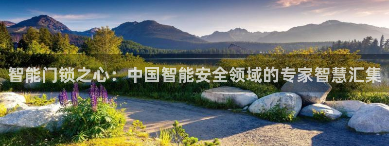开丰娱乐线路：智能门锁之心：中国智能安全领域的专家智慧汇集