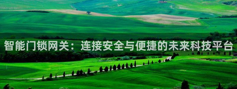 开丰娱乐网站官网首页：智能门锁网关：连接安全与便捷的未来科技