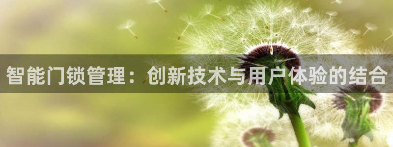 开丰娱乐注册自判官333OO：智能门锁管理：创新技术与用户体
