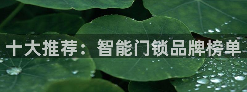 如何注册开丰娱乐账号：十大推荐：智能门锁品牌榜单