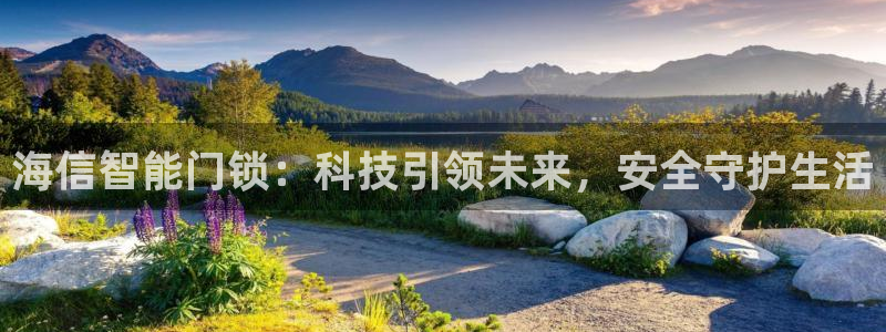 开丰娱乐登陆：海信智能门锁：科技引领未来，安全守护生活