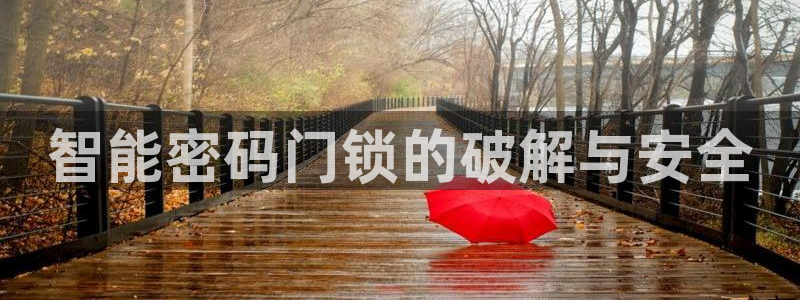 开丰娱乐不开了吗：智能密码门锁的破解与安全