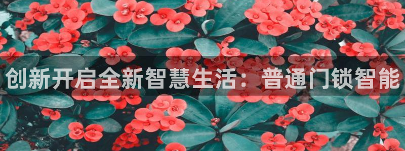 开丰娱乐登入地址在哪儿：创新开启全新智慧生活：普通门锁智能