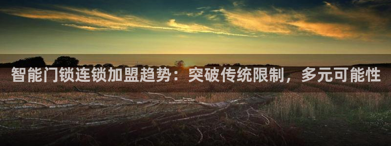 开丰娱乐科技：智能门锁连锁加盟趋势：突破传统限制，多元可能性