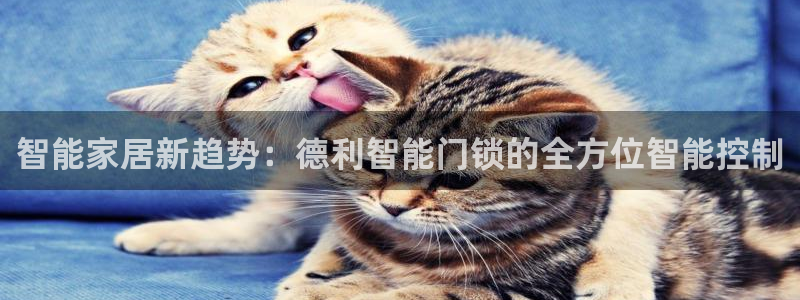 开丰娱乐登入地址：智能家居新趋势：德利智能门锁的全方位智能控