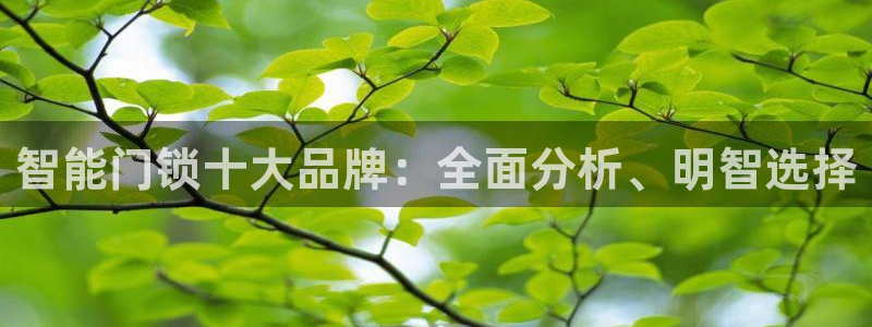 开丰娱乐网官网注册入口：智能门锁十大品牌：全面分析、明智选择